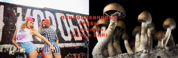 тгк Абинск