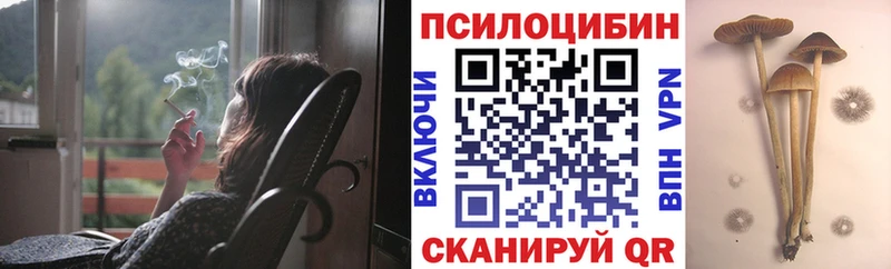 Псилоцибиновые грибы Psilocybe хочу наркоту Ряжск